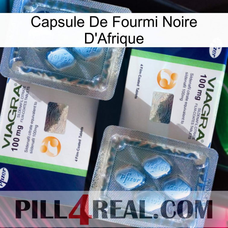 Africa Black Ant Capsule viagra5